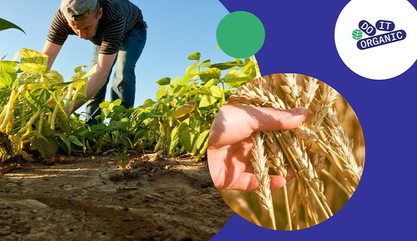 do-it-organic